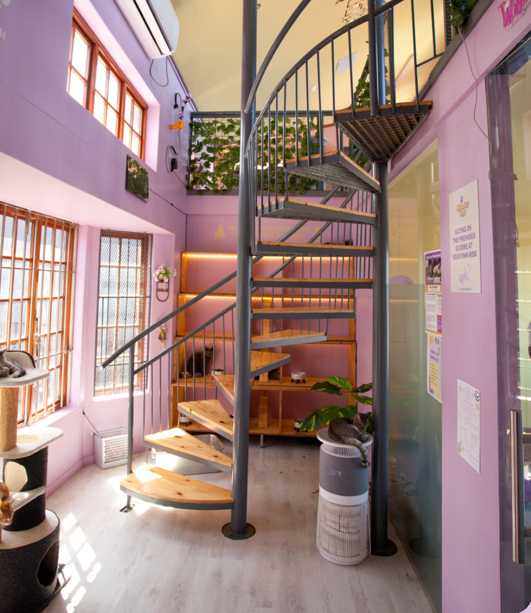 Inside MeanKat Cafรฉ